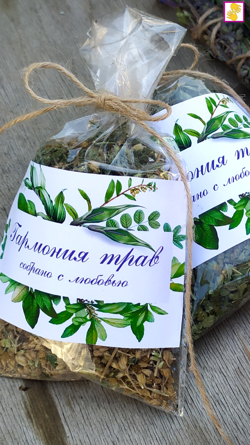 ПРЕДЛОЖЕНИЕ МЕСЯЦА<br>